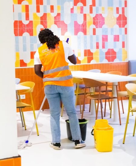 Limpezas Profissionais